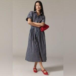 The Tobie Button-Front Pleated Shirt Dress by Exquise